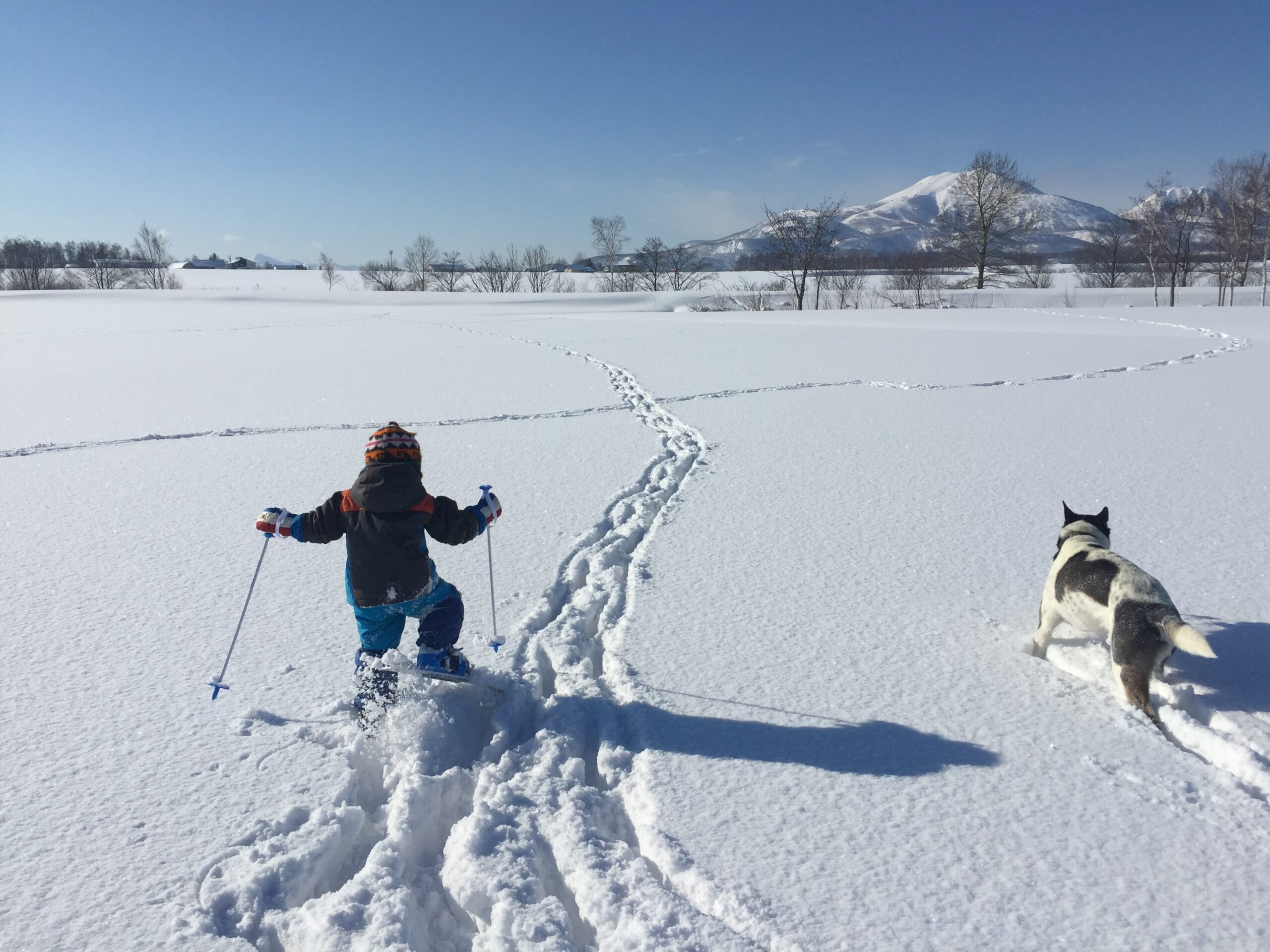 ニセコのはなし